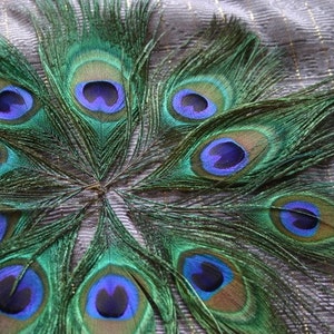 Embellish me Peacock Peacock Feather Eyes 10 image 4