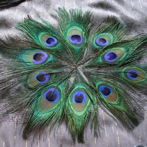Embellish me Peacock Peacock Feather Eyes 10 image 3