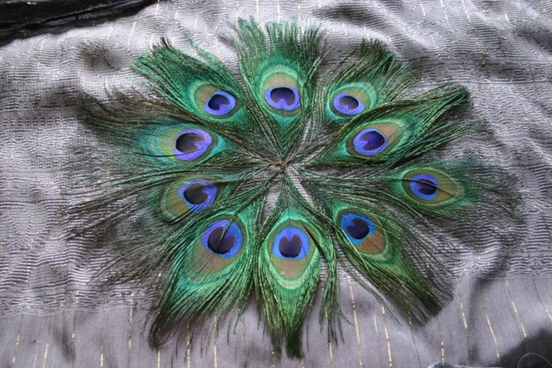 Embellish me Peacock Peacock Feather Eyes 10 image 3