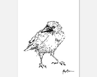 Raven Classic Matte Paper Poster 13x18 cm / 5x7″