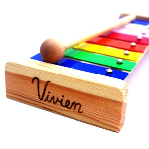 Speelgoedinstrumenten