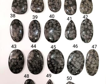 Black Fossil Coral Gemstone Cabochon, Hand Polished  Loose Gemstone For Making Jewelry