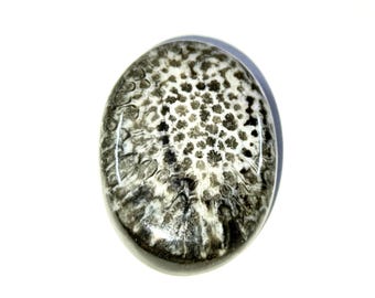 Natural  Black Fossil Coral Cabochon  Loose Gemstone For Making Jewellery 23X17X5 MM 18 Cts