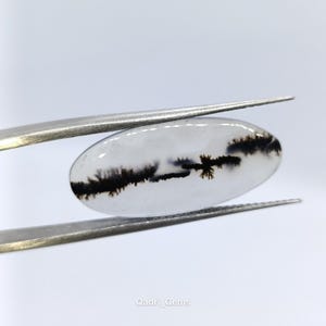 May include: A clear, oval-shaped gemstone with black dendritic inclusions, held by silver tweezers. The inclusions resemble a tree-like pattern within the translucent stone. The gemstone is polished and smooth, with the text "Qadri_Gems" visible.