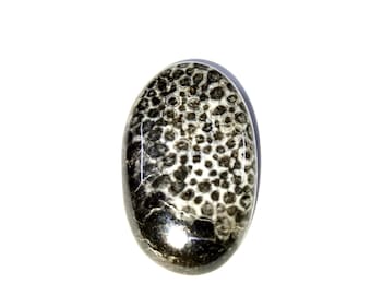 Natural Black Fossil Coral Cabochon, Loose Gemstone For Making Jewellery 25X15X5 MM 15 Cts