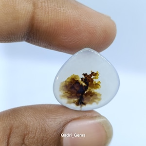 May include: A teardrop-shaped gemstone with a translucent white base, featuring a brown and gold dendritic inclusion resembling a tree. The stone is held between fingers, with the text "Qadri_Gems" visible.