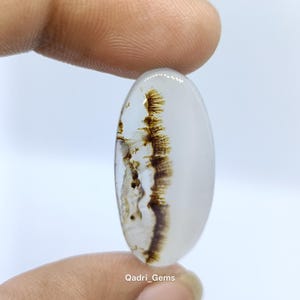 May include: An oval-shaped, translucent gemstone with a white base and brown, tree-like inclusions. The polished stone is held between two fingers, showcasing its natural patterns and clarity. The text "Qadri_Gems" is visible at the bottom.