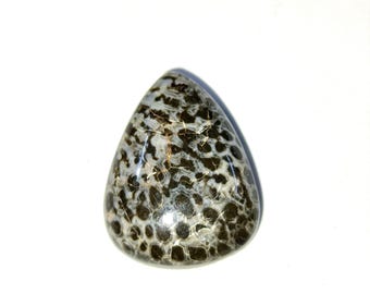 Black Fossil Coral Cabochon Crystal Loose Gemstone For Making Jewellery 20X15X5 MM 12 Cts