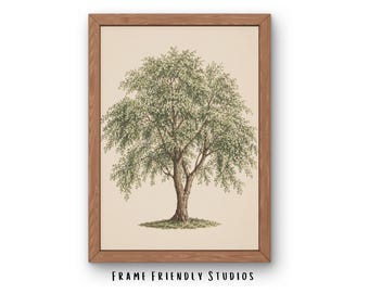 Lámina decorativa vintage con diseño de árbol, ilustración botánica de la naturaleza, decoración minimalista neutra, descarga instantánea.