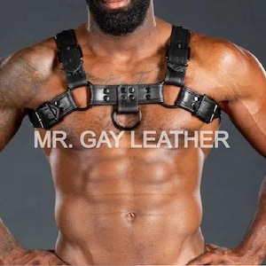May include: Black leather chest harness with adjustable straps and metal hardware. The harness features a D-ring and is branded with the text "MR. GAY LEATHER".