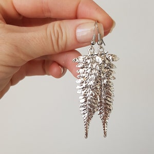 Pode incluir: Brincos de folha de samambaia pendentes de prata. Os brincos são feitos de metal e têm um design delicado e detalhado.