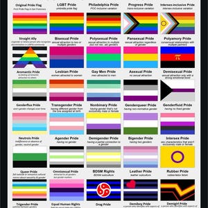 Peut inclure: Un tableau éducatif complet intitulé A GUIDE TO PRIDE FLAGS, présentant une grille de divers drapeaux de fierté avec leurs noms et définitions correspondants, incluant le drapeau original, le Progress Pride et bien d'autres.