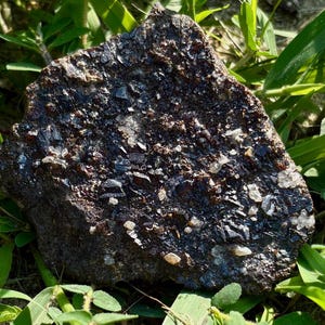 May include: A dark, rough-textured rock with embedded crystals and a mix of dark and light colors. The rock is surrounded by green grass and foliage, suggesting a natural setting. The surface of the rock has a crystalline appearance.