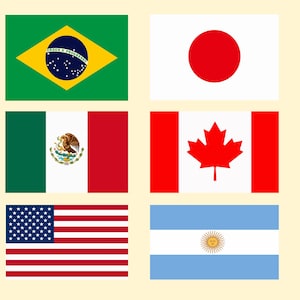 Op de afbeelding: Een verzameling van zes rechthoekige nationale vlaggen gerangschikt in een raster. De vlaggen omvatten Brazilië, Japan, Mexico, Canada, de Verenigde Staten van Amerika en Argentinië, elk met hun eigen kleuren, symbolen en geometrische patronen.