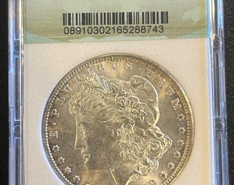 Dólar de plata Morgan de 1904, con ligera pátina.