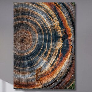 Impression sur toile d&#39;anneaux d&#39;arbre colorés, art mural naturel élégant, décoration en bois, excellente solution de conception pour la réduction de l&#39;écho, décoration d&#39;intérieur, prêt à accrocher 697