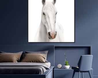 Black and White Horses Canvas Art,Horses Canvas Print,animal poster,Modern Art, Horses Decor,White Horse Wall Art,home decor,Gift home 872