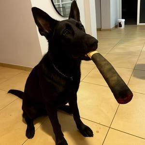 Funny Cigar-Shaped Dog Toy – Plush Squeaky Chew Toy for Small & Medium Dogs, Interactive Design, Teeth Cleaning, Creative Pet Play