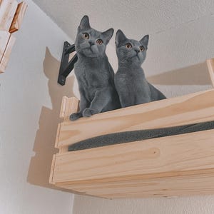 Wall-Mounted Wooden Cat Shelf – Modern Cat Perch Bed, Climbing Hammock & Scratching Furniture