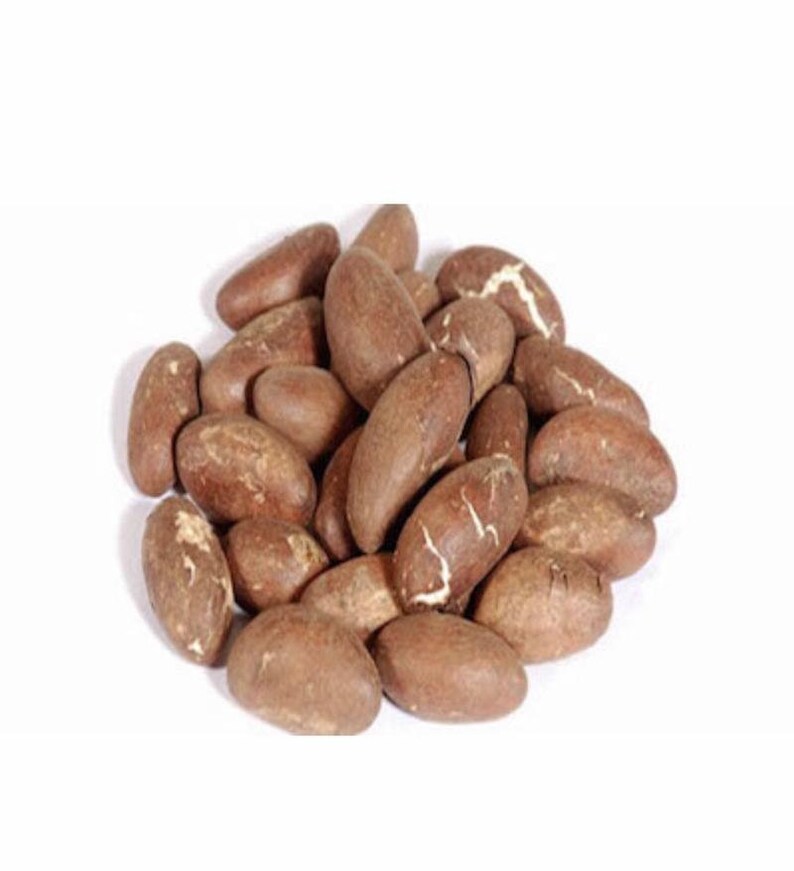Nigeria Bitter Kola Nut Garcinia Kola Cola 0.5lbs Etsy