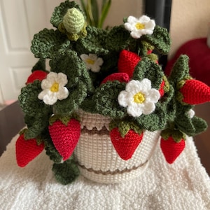 Puede incluir: Una planta de fresas tejida a ganchillo en una maceta blanca. La planta presenta hojas verdes, flores blancas con centros amarillos y fresas rojas brillantes. La maceta tiene una textura tejida con un borde marrón.