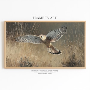 Kestrel Wings Spread Grassland Flight Hunting Gaze Samsung Frame TV Bird Prey Sky Feathers Field Digital Wildlife Nature Artwork Scene