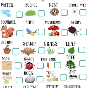 May include: A nature scavenger hunt game with illustrations of natural elements like a squirrel, bird, mushrooms, and a spider web. The text "NATURE Scavenger hunt" is at the top. Each item has a check box.
