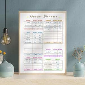 May include: A framed budget planner with pastel color-coded sections for income, expenses, and savings. The text "Budget Planner" is at the top. Decorative vases and a light bulb hang in the background. The planner is on a wooden surface.
