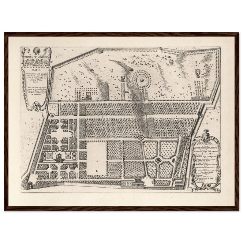 Stampa Con Cornice Mappa Villa Mattei Roma 1683, Quadro Inizio Titolo Falda Pianta Geometrica, Poster Legno Pino Vintage Barocco image 2