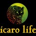 Icarolife.shop
