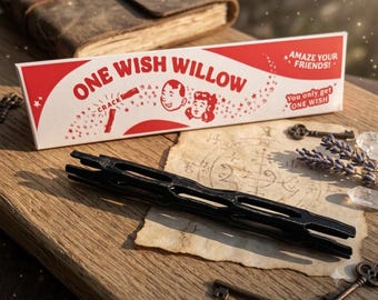 Réplica e caixa do adereço do filme de terror "One Wish: Willow Obsession", inspirado em Willow Obsession.