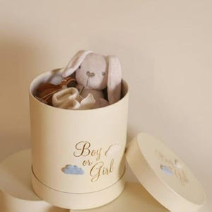 Pode incluir: Uma caixa de presente redonda creme com o texto "Boy or Girl" em letras douradas, com um coelho de pelúcia e roupas de bebê dentro. A tampa está parcialmente aberta, revelando o conteúdo. Ilustrações de nuvens azuis também estão presentes.