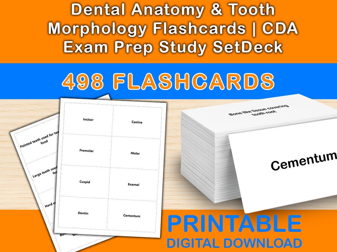Tooth Flash Card Layout Dental Anatomy & Tooth Morphology Flashcards | 498 Study Cards | CDA ...