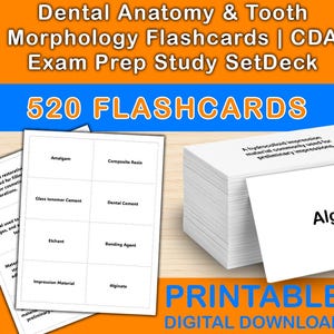 May include: White flashcards with dental terms such as "Amalgam," "Composite Resin," and "Alginate." The image also shows the text "Dental Anatomy & Tooth Morphology Flashcards" and "520 FLASHCARDS."