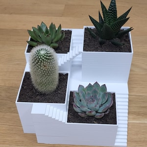 Multi-level flower box