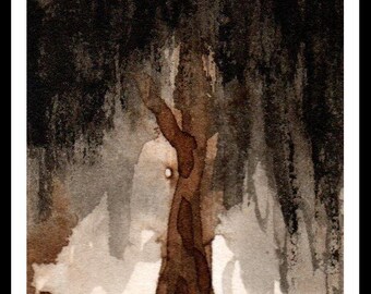 Saule - Encre