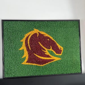 Brisbane Broncos Astroturf art work perfect for room decoration