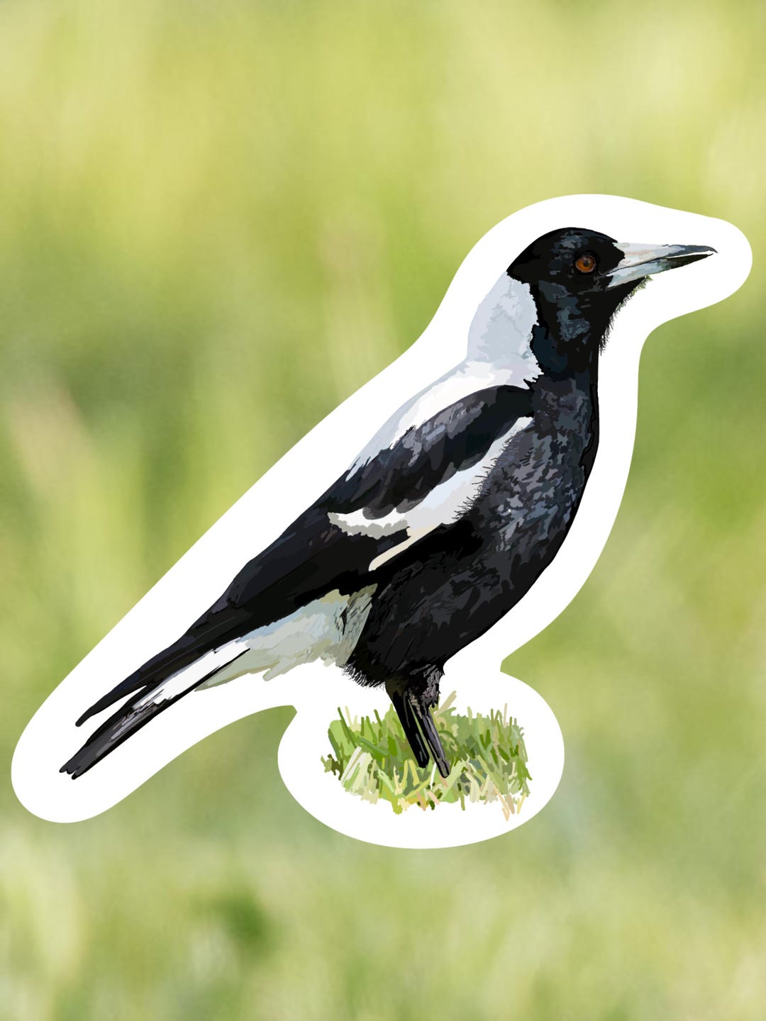 Magpie Sticker: Australian Native Bird Vinyl Decal - Nature Lover Gift ...