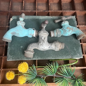 May include: Three vintage water faucets in varying shades of blue and gray, arranged on a green surface. The faucets show signs of wear, with visible rust and patina. Decorative yellow pom-pom flowers and green foliage are placed below the faucets.
