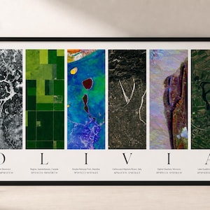 Puede incluir: Una impresi&oacute;n enmarcada con seis paneles verticales que muestran vistas a&eacute;reas de diferentes lugares. La palabra "OLIVIA" est&aacute; escrita en la parte inferior. Cada panel muestra un paisaje &uacute;nico con una paleta de colores y textura distintas.