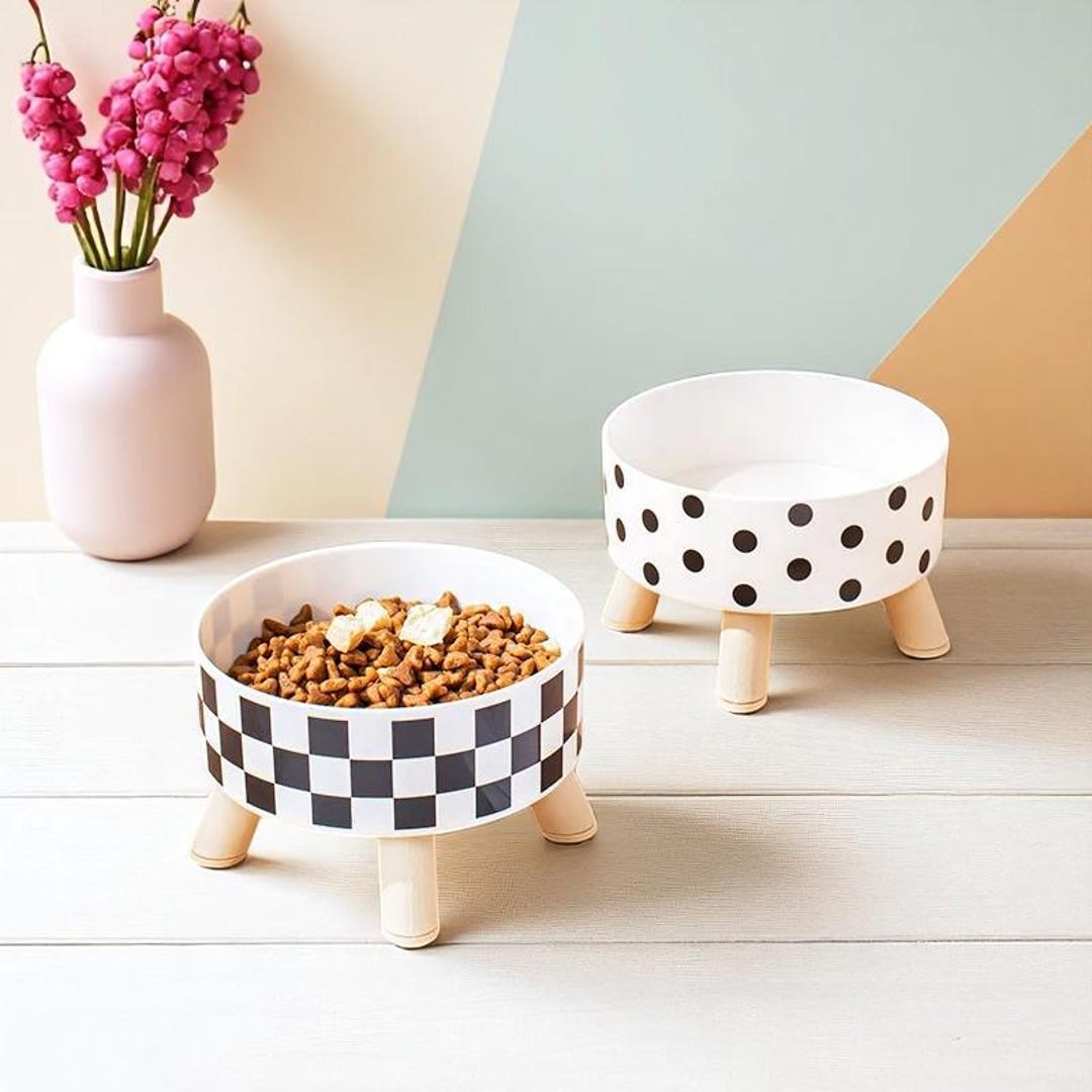 Picture of Dog & Cat Bowl | Stylish Anti-knock Pet Food Bowl With Legs ...