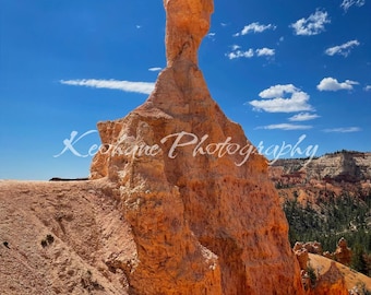 Bryce Canyon Hoodoo Digital Print – Unikatowy Utah Red Rock Landscape Wall Art, Fotografia przyrody pustyni, Wystrój domu w stylu południowo-zachodnim