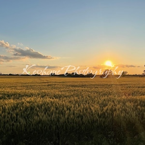 Golden Hour Kansas Field Canvas Print – Rustic Prairie Sunset Wall Art, Midwest Landscape Photography Decor