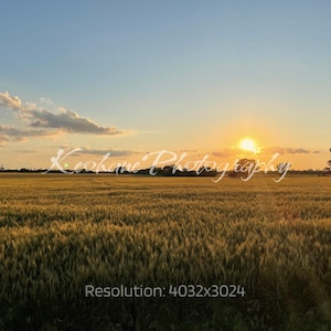 Golden Hour Kansas Field Digital Print – Rustic Prairie Sunset Wall Art, Midwest Landscape Photography Decor