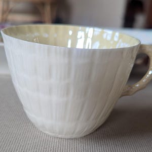 Belleek Limpet Teacup Only | First Green Mark | Irish Bone China | Opalescent Ivory | Shell Pattern | Ireland | Belleek Collector