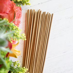 Celestial Sage Incense Sticks: 20pk, Grounding & Purifying Aroma