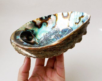 Abalone Shell - Incense burner, Smudging Supply, Sacred Space