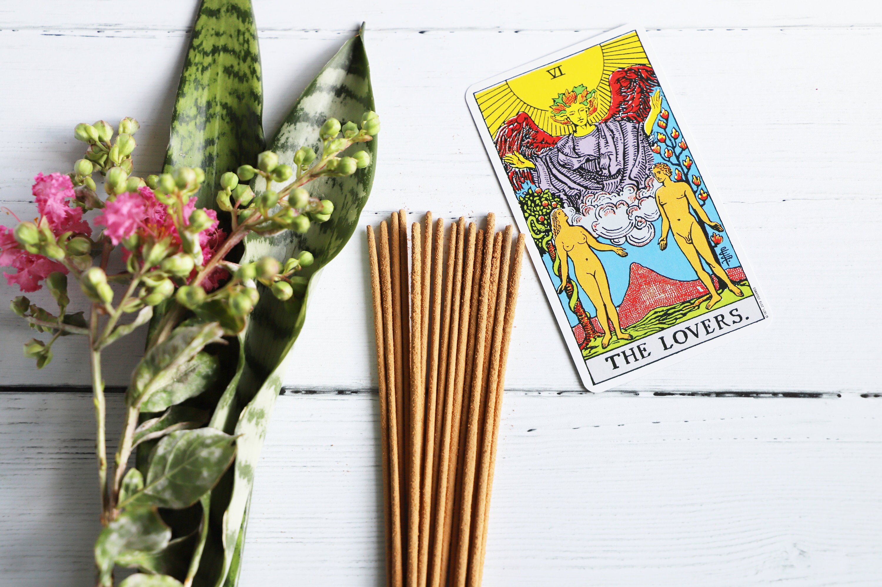Blank Tarot Cards  Reed's Handmade Incense