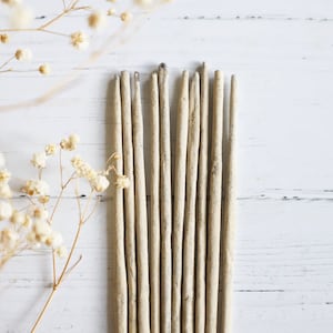 Seed of Life Incense Sticks – Sacred Geometry Aromatherapy | Spiritual Cleansing, Meditation, and Ritual Fragrance