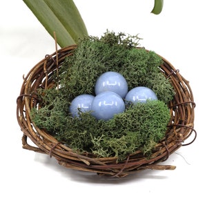 May include: Four light blue glass spheres nestled in a brown twig nest lined with green moss.